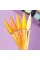 DNKa' Gel Polish Color #0067, 12 ml