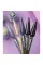 DNKa' Gel Polish Color #0099, 12 ml