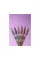 DNKa' Gel Polish Color Autumn Kiss #0143, 12 ml