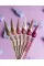 DNKa' Gel Polish Color Cat's Eye #0155, 12 ml