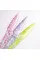 DNKa’ Top Sorbet, 12 ml