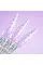 DNKa’ Top Unicorn, 12 ml
