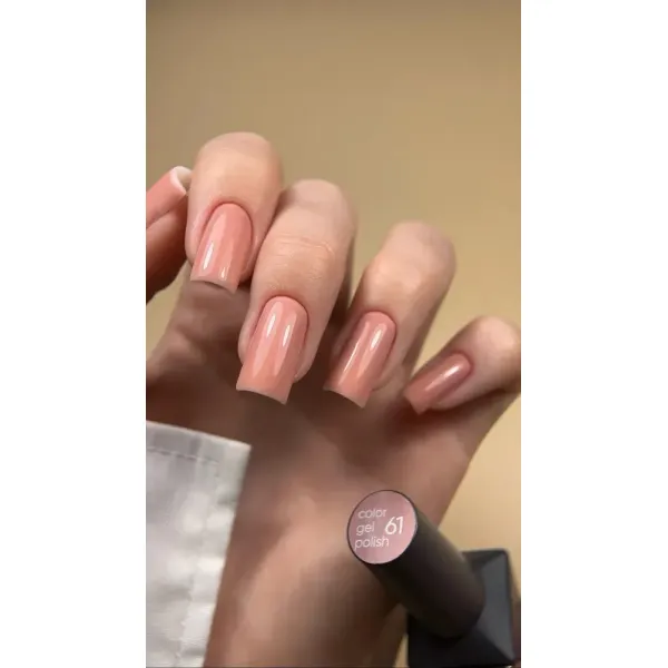 Gel Polish Valeri №61 (6 ml)