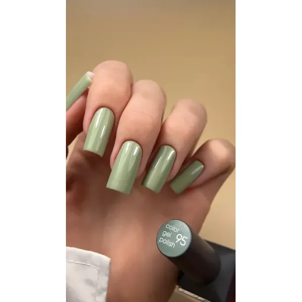 Gel Polish Valeri №95 (6 ml)