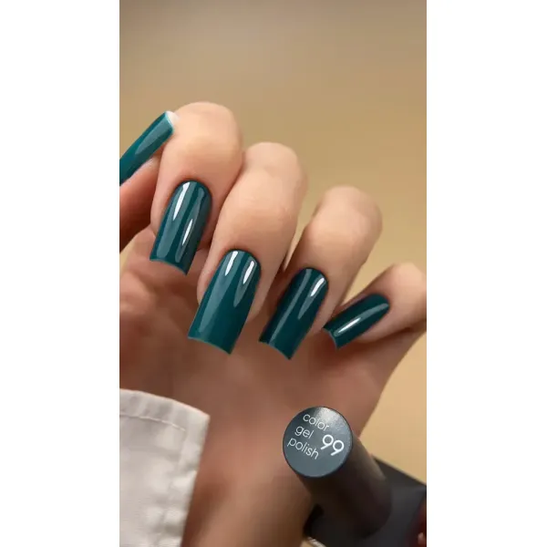 Gel Polish Valeri №99 (6 ml)