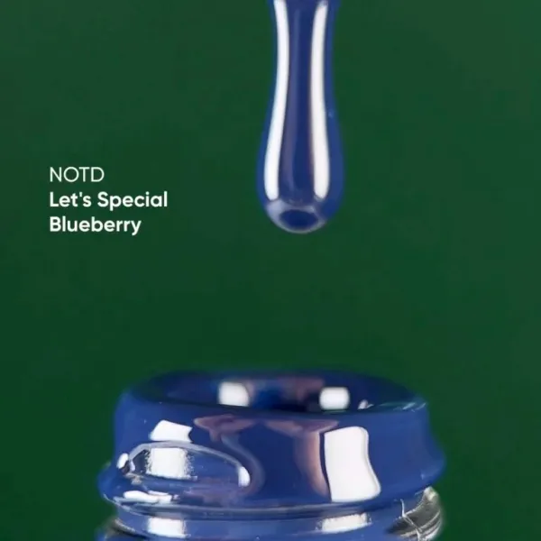 NAILSOFTHEDAY Gel Polish Let's special Blueberry 325, 10ml
