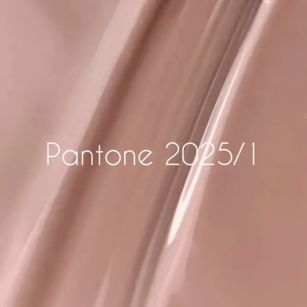 NAILSOFTHEDAY Gel Polish Let's special Pantone2025/1, 10ml
