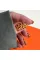 NAILSOFTHEDAY Gel Polish Pumpkin 097 - тыквенный гель–лак, 10 мл