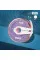 Disposable white abrasive tape papmAm STALEKS PRO EXPERT 240 grit





