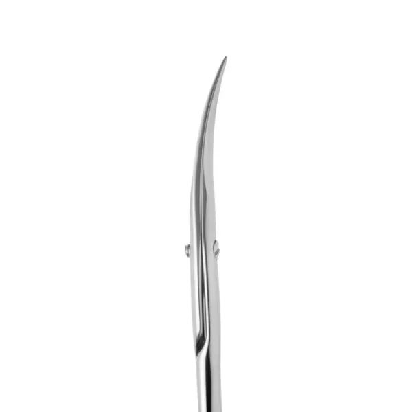 Professional cuticle scissors STALEKS PRO EXPERT 20 TYPE 2
