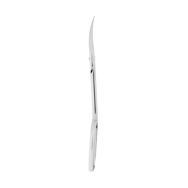 Professional cuticle scissors STALEKS PRO EXPERT 22 TYPE 1