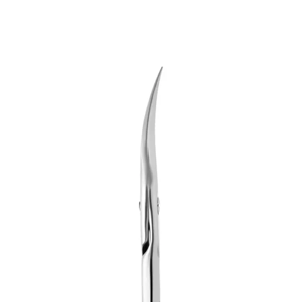 Professional cuticle scissors STALEKS PRO EXPERT 22 TYPE 1