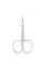 Professional cuticle scissors STALEKS PRO EXPERT 50 TYPE 1

