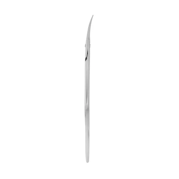 Professional cuticle scissors STALEKS PRO EXPERT 50 TYPE 1

