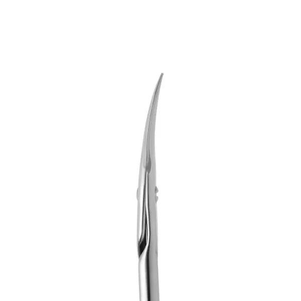 Professional cuticle scissors STALEKS PRO EXPERT 50 TYPE 1

