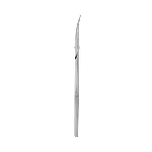 Professional cuticle scissors STALEKS PRO EXPERT 50 TYPE 2

