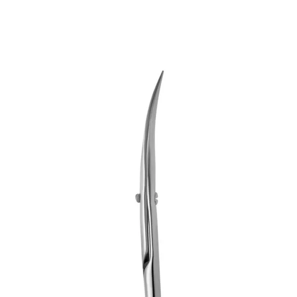Professional cuticle scissors STALEKS PRO EXPERT 50 TYPE 3

