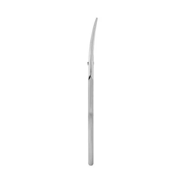 Professional nail scissors STALEKS PRO SMART 30 TYPE 1