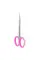 Professional scissors with hook STALEKS PRO SMART 41 TYPE 3



