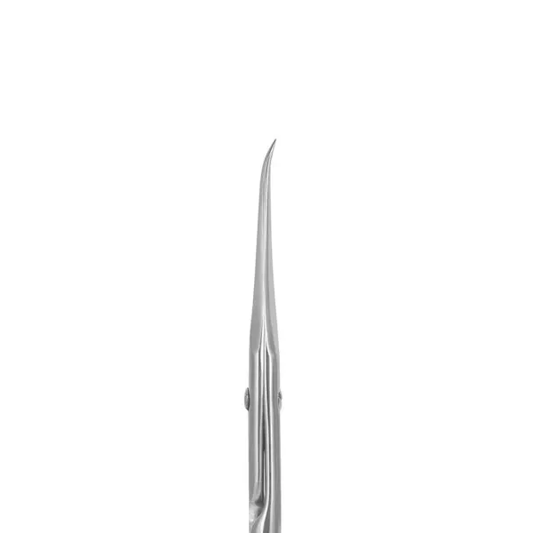 Professional scissors with hook STALEKS PRO EXCLUSIVE 21 TYPE 2 (magnolia)
