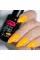 Gel Nail Polish PNB 033, 8 ml