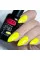 Gel Nail Polish PNB 038, 8 ml